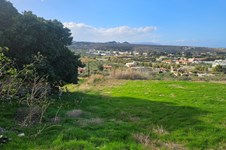 Property 65125 photo 4