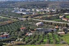 Property 65125 photo 8