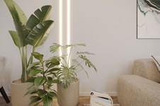 Property 65130 photo 5