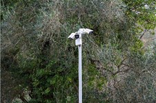 Property 65132 photo 19