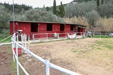 Property 65132 photo 6