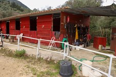 Property 65132 photo 7