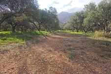 Property 65150 photo 11