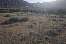 Property 65150 photo 6