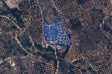 Property 65150 photo 12