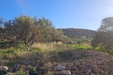 Property 65150 photo 2