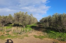 Property 65150 photo 7