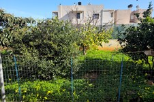 Property 65156 photo 4