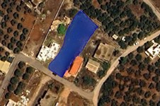 Property 65163 photo 9