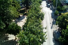 Property 65166 photo 4