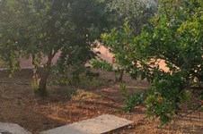 Property 65187 photo 2