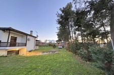 Property 65192 photo 8