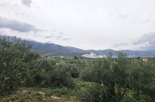 Property 65231 photo 5