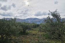 Property 65231 photo 13