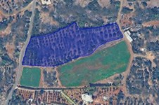 Property 65231 photo 15