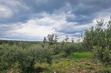 Property 65231 photo 6