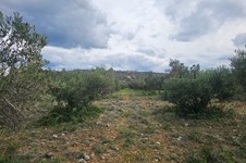 Property 65231 photo 14