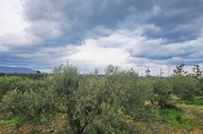 Property 65231 photo 9