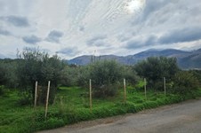 Property 65231 photo 2