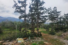 Property 65231 photo 11