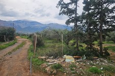 Property 65231 photo 12