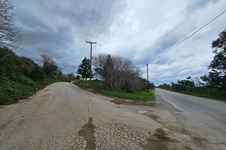 Property 65233 photo 3