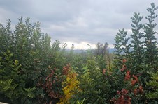 Property 65234 photo 18