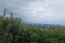 Property 65234 photo 16