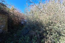 Property 65258 photo 11