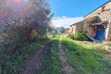 Property 65258 photo 10