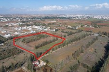 Property 65264 photo 2