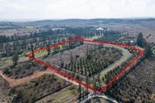 Property 65264 photo 3