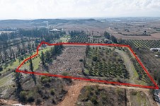 Property 65264 photo 4