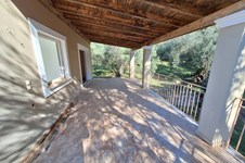 Property 65270 photo 51