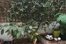 Property 65274 photo 9