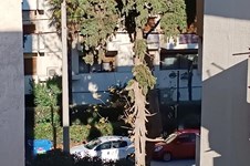 Property 65275 photo 19