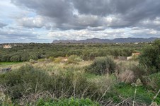 Property 65280 photo 5