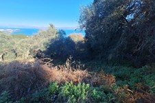 Property 65288 photo 5