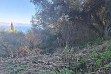 Property 65288 photo 4