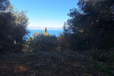 Property 65288 photo 6