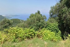 Property 65288 photo 1