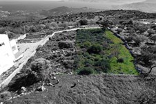 Property 65310 photo 3