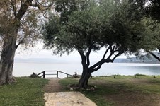 Property 65330 photo 6