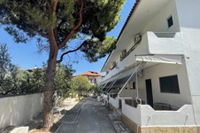 Property 65330 photo 3