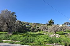 Property 65362 photo 1