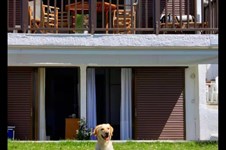 Property 65370 photo 13