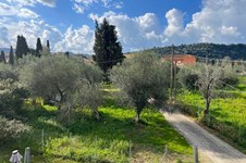 Property 65395 photo 33