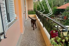 Property 65401 photo 20