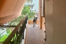 Property 65401 photo 22