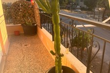 Property 65401 photo 26